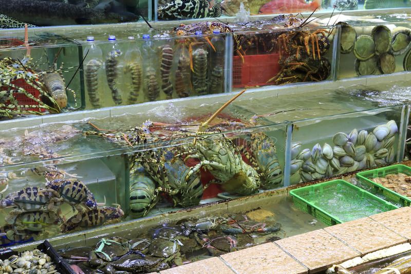 Du lịch Hải Tiến ăn uống ở đâu ngon? Gợi ý từ dân địa phương