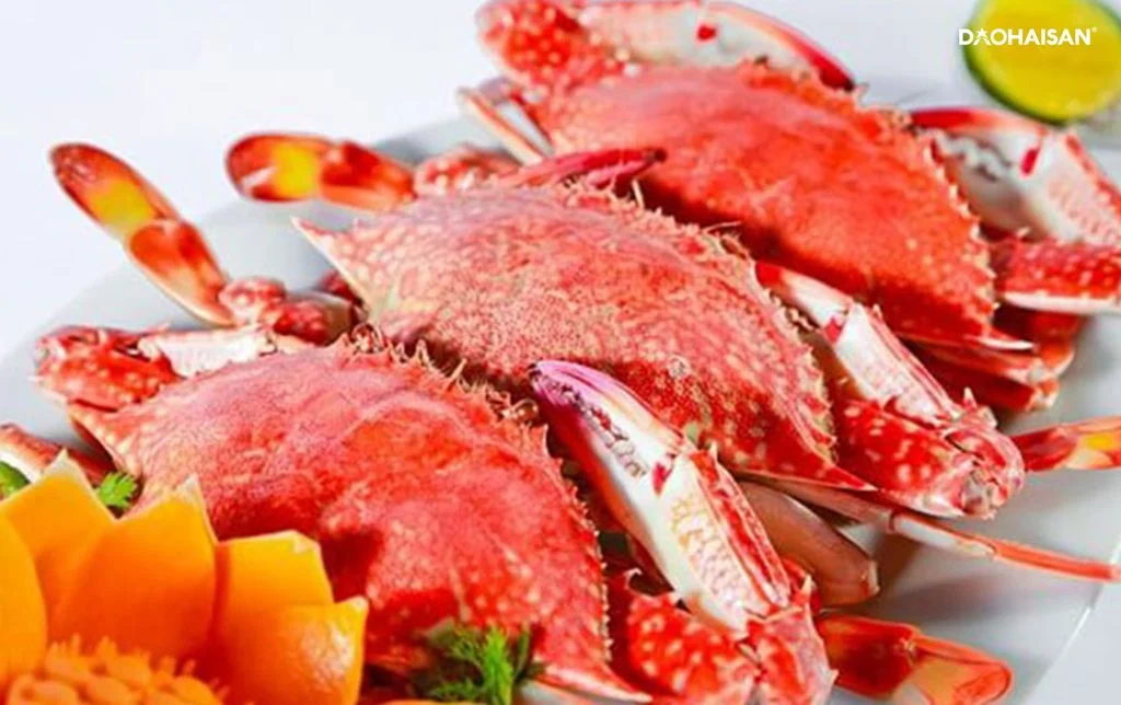 Khám phá thiên đường hải sản tươi sống tại Hải Tiến